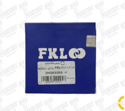 هرزگرد دینام 405 FKL صربستان مژده وصل